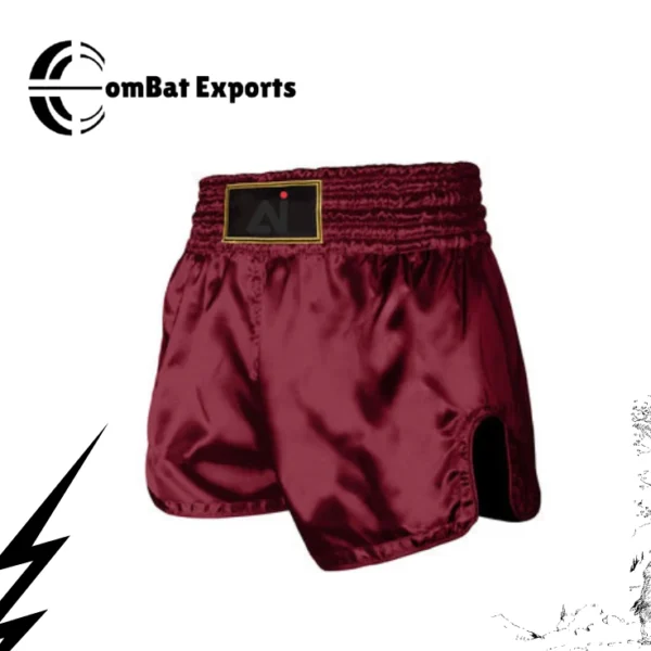 Fight Shorts - Image 5